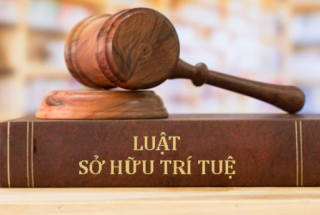 Luật SHTT tiếp cận việc xác lập và bảo hộ quyền trong môi trường số và trí tuệ nhân tạo (AI)